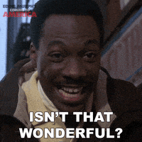 每日GIF(2020-12-13)的gif-Eddie Murphy GIF by Coming to America