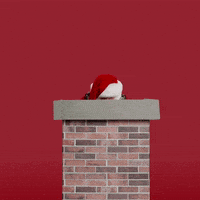 每日GIF(2020-12-13)的gif-Merry Christmas GIF by Macy's