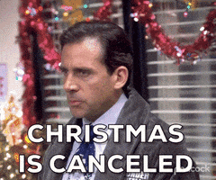 每日GIF(2020-12-23)的gif-Angry Season 3 GIF by The Office