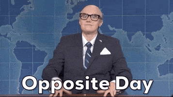 每日GIF(2021-01-26)的gif-Kate Mckinnon Snl GIF by Saturday Night Live