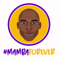 每日GIF(2021-01-27)的gif-Los Angeles Lakers Basketball GIF by SportsManias