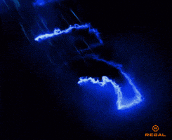 每日GIF(2021-02-11)的gif-Sonic The Hedgehog Tails GIF by Regal