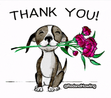 每日GIF(2021-02-14)的gif-Happy Dog GIF by Red & Howling