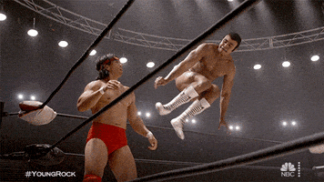 每日GIF(2021-02-17)的gif-The Rock GIF by NBC