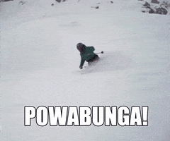 每日GIF(2021-03-01)的gif-Snow Ski GIF by Sunshine Village