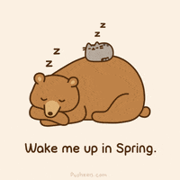 每日GIF(2021-03-04)的gif-Cat Sleep GIF by Pusheen