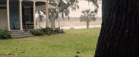 每日GIF(2021-03-19)的gif-Captain America Shut Up GIF by Leroy Patterson