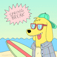每日GIF(2021-03-20)的gif-Animation Domination Dog GIF by gifnews