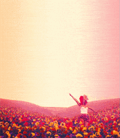 每日GIF(2021-03-21)的gif-Flower GIF