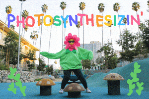 每日GIF(2021-03-21)的gif-Flower Dancing GIF by GIPHY Studios Originals