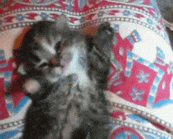 每日GIF(2021-03-27)的gif-Buenos Dias Whatsapp Status GIF by good-morning