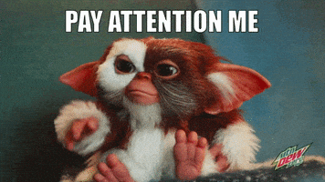 每日GIF(2021-04-06)的gif-Feels Look At Me GIF by Mountain Dew