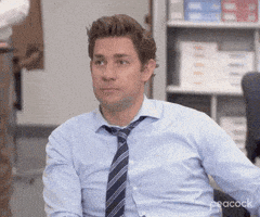 每日GIF(2021-04-06)的gif-Season 9 No GIF by The Office