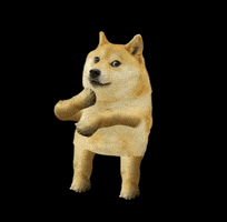 每日GIF(2021-04-14)的gif-Doge Dogecoin GIF by Shibetoshi Nakamoto