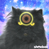 每日GIF(2021-04-18)的gif-Sci Fi Lol GIF by Hallmark Gold Crown