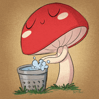 每日GIF(2021-04-24)的gif-Animation Mushroom GIF