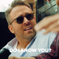 每日GIF(2021-04-28)的gif-GIF by The Hitman's Wife's Bodyguard