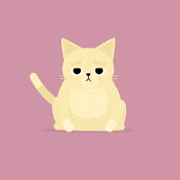 每日GIF(2021-04-29)的gif-Cat Eat GIF by sambmotion