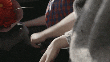 每日GIF(2021-06-13)的gif-Comedy Wlw GIF by Lez Bomb Movie