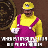 每日GIF(2021-06-22)的gif-Shiba Inu Meme GIF