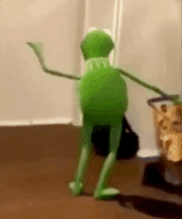 每日GIF(2021-06-22)的gif-Kermit Dancing GIF