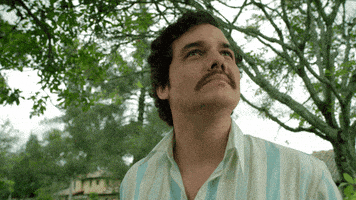 每日GIF(2021-06-24)的gif-Sad Pablo Escobar GIF by NETFLIX