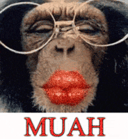 每日GIF(2021-07-06)的gif-monkey lips GIF