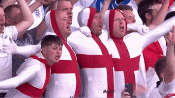 每日GIF(2021-07-08)的gif-Three Lions Football GIF