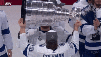每日GIF(2021-07-10)的gif-Ice Hockey Sport GIF