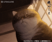 アニメ「俺、つしま」【公式】的gif的gif-Untitled GIF