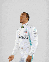 每日GIF(2021-07-19)的gif-Smashing It Formula 1 GIF by Mercedes-AMG Petronas Formula One Team