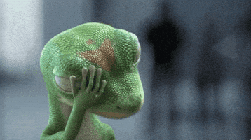每日GIF(2021-08-29)的gif-Frustrated Gecko GIF