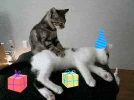 每日GIF(2021-09-18)的gif-Celebrate Happy Birthday GIF by Birthday Bot