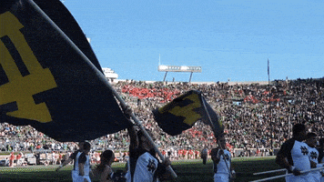 每日GIF(2021-09-19)的gif-Notre Dame Leprechaun GIF by Notre Dame Fighting Irish