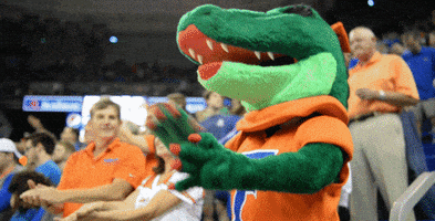 每日GIF(2021-09-19)的gif-university of florida alberta GIF by Florida Gators