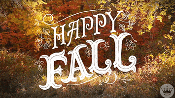 每日GIF(2021-09-23)的gif-Fall Season Reaction GIF by Hallmark Gold Crown
