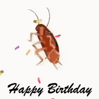 每日GIF(2021-09-25)的gif-Happy Birthday Meme GIF
