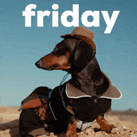 每日GIF(2021-09-25)的gif-Its Friday Dog GIF by GIPHY Studios Originals