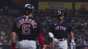 每日GIF(2021-10-10)的gif-High Five Red Sox GIF by MLB