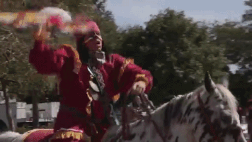 每日GIF(2021-10-10)的gif-Fsu Seminoles GIF by Florida State University