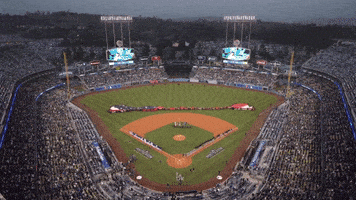 每日GIF(2021-10-14)的gif-La Dodgers Sport GIF by MLB