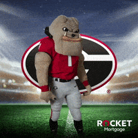 每日GIF(2021-10-31)的gif-College Football Ncaa GIF by Rocket Mortgage