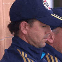 每日GIF(2021-11-15)的gif-London What GIF by Lord's Cricket Ground