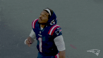 每日GIF(2021-11-15)的gif-Happy Cam Newton GIF by New England Patriots