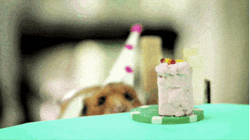 每日GIF(2021-11-16)的gif-Happy Birthday Reaction GIF