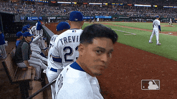 每日GIF(2021-11-18)的gif-Stop Looking Go Away GIF by MLB