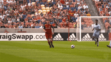 每日GIF(2021-11-18)的gif-Salt Lake City Soccer GIF by realsaltlake