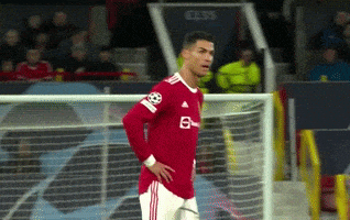 每日GIF(2021-11-19)的gif-Champions League Football GIF by UEFA
