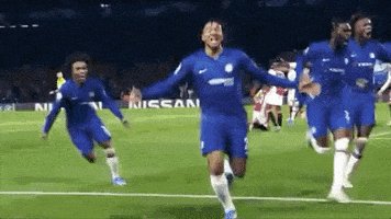 每日GIF(2021-11-24)的gif-Champions League Football GIF by UEFA