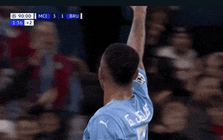 每日GIF(2021-11-25)的gif-Champions League Love GIF by UEFA
